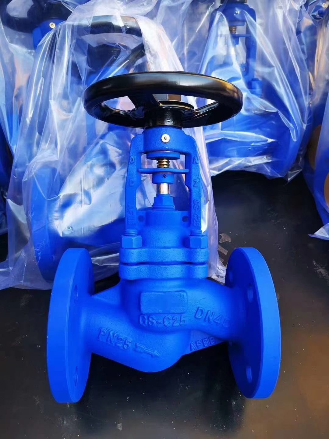 bellows globe valve size caliber 2